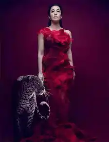 传奇人物有一种女人,叫刘晓庆