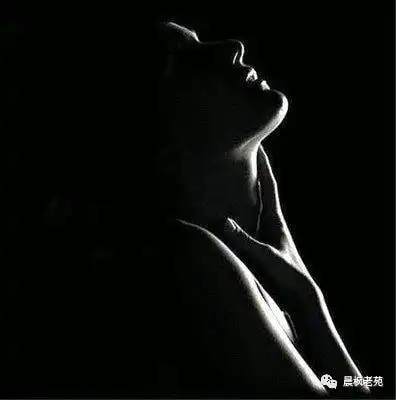 黑白的勾勒