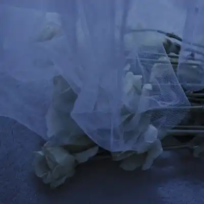 苏瓷唯美意境背景风景唯美蓝风景静物头像我要个性网
