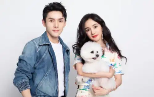 李佳琦为什么这么拼,凌晨下班成习惯,本人却觉得苦尽甘来