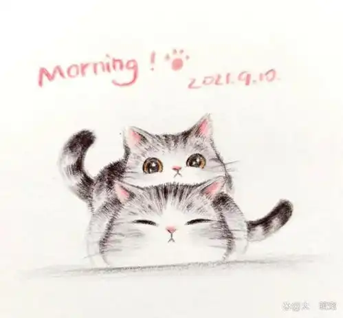 可爱的有趣的治愈猫咪漫画,这就是猫咪的真实生活吗