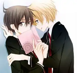 这是哪个动漫里的那对西皮求西皮名,想去逛贴吧.