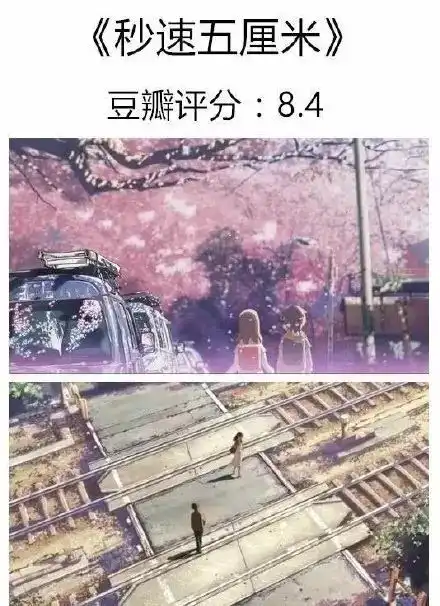 新海诚高分动漫电影推荐,传说中每一帧都是壁纸的男人