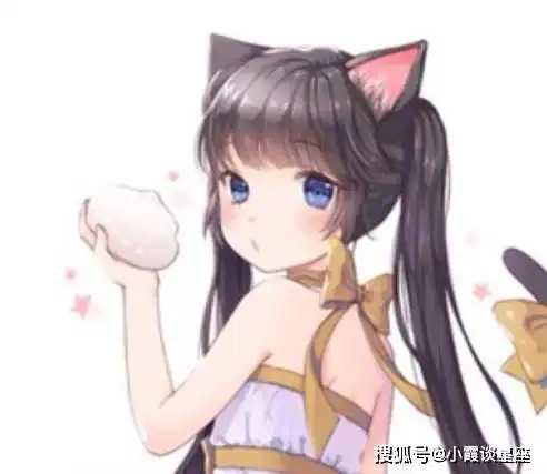 12星座专属猫耳美少女,巨蟹座活泼复杂,天蝎座安静美少女