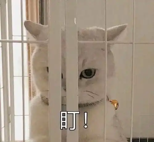 悄悄发送可以惊艳所有人的沙雕文案