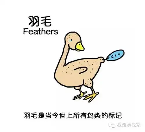 英语学习奇葩招式大盘点雷死人不偿命