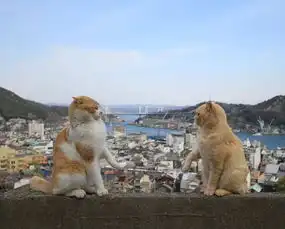 盘点必吃5大美食打卡众多动漫日剧的取景地一定要去恋人圣地偶遇小猫咪呀