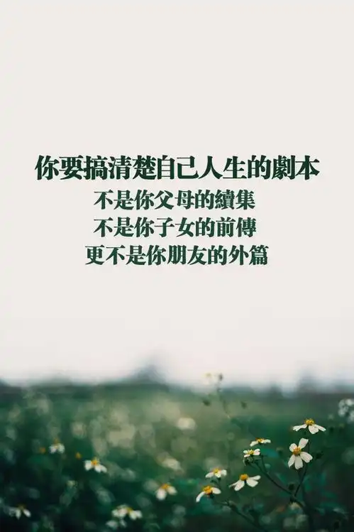 我的收藏