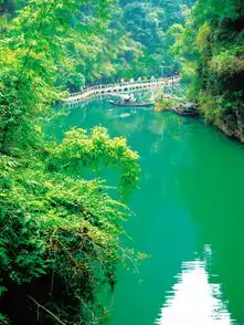 春游三峡人家山青水秀歌更甜