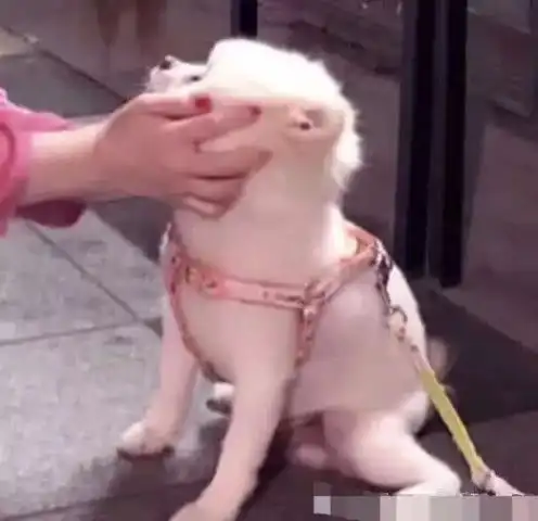 高中时最怕被发现情侣头像,其实老师根本没空管你大胆和小号用