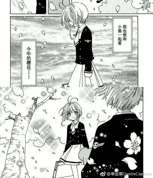魔卡少女樱cc篇动画漫画不同点