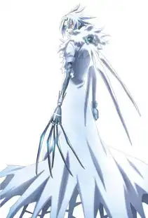 驱魔少年艾伦神之道化壁纸