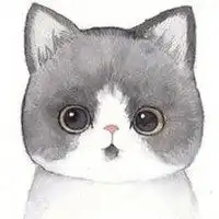 猫的头像图片卡通图片微信头像图片大全