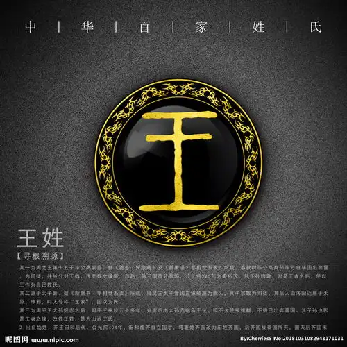 百家姓王图片