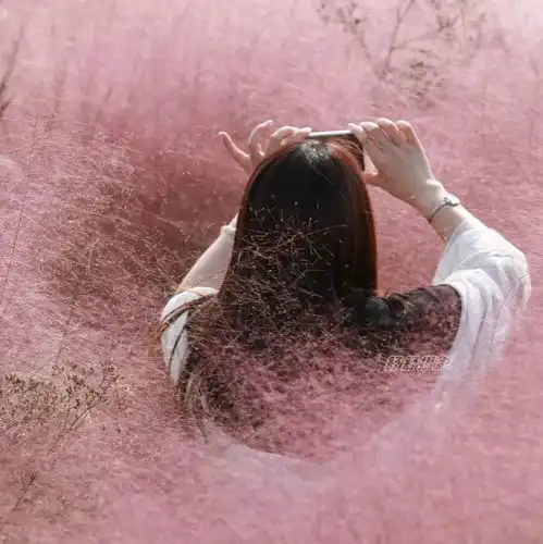 少女心爆棚,想邂逅就快点过来......