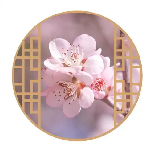 花色成诗,定格年少组图