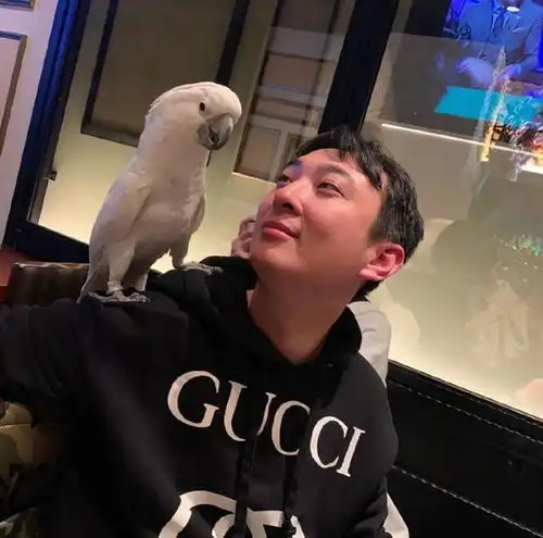 让王思聪都吃的网红瓜,着实有点毁三观比半藏森林段位还高