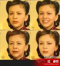 faceapp怎么导入图片