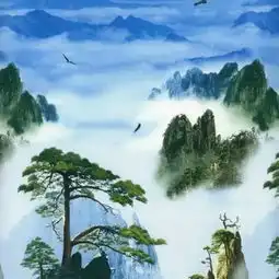小海豚25434001个人中心逐浪小说
