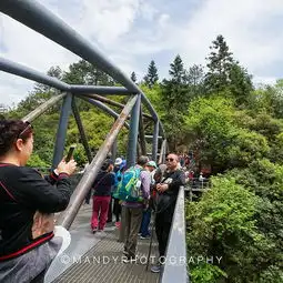 2017袁家界旅游攻略门票地址游记点评,张家界旅游景点酒店购物美食推荐去哪儿攻略社区