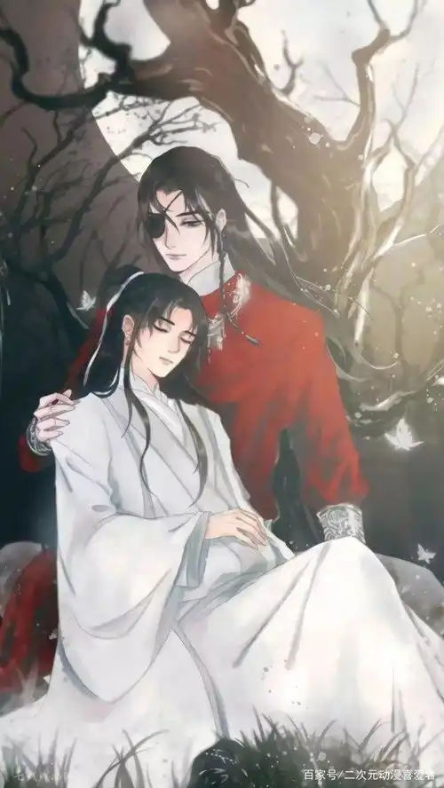 天官赐福第二次吻在哪一章