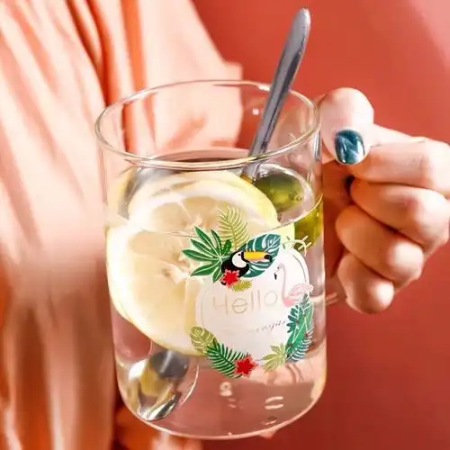 玻璃杯ins风创意耐高温网红韩版女生水杯可爱卡通家用喝水花茶杯