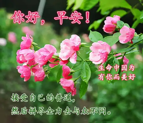 最美早上好的问候语图片大全,新版早上好祝福句子表情