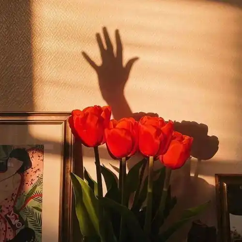 ins风小众背景图花与少女