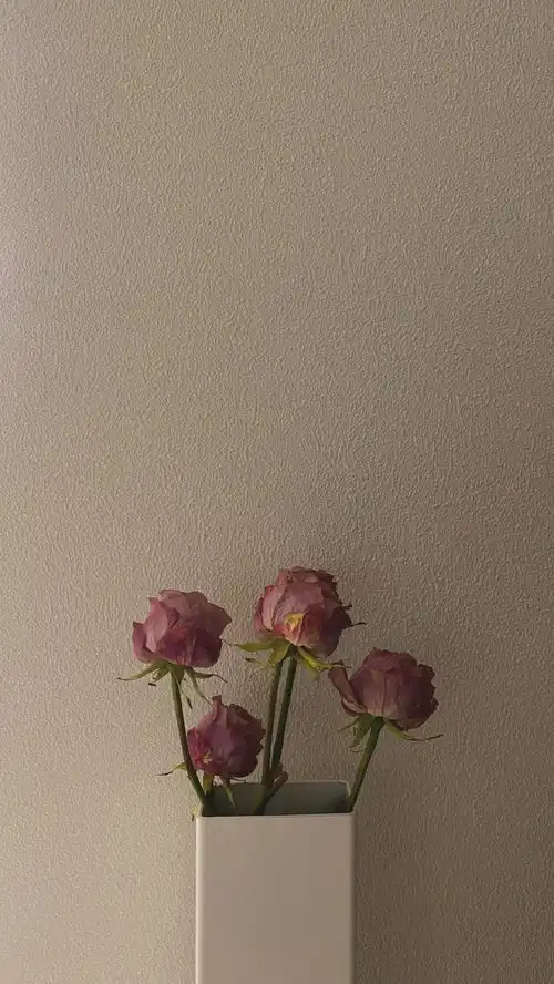 ins花花背景壁纸