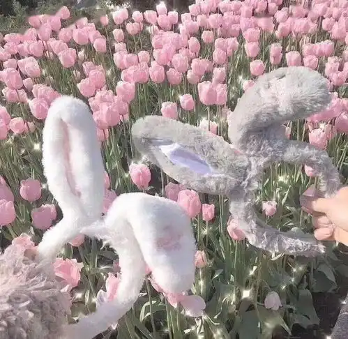背景图i治愈你的不开心