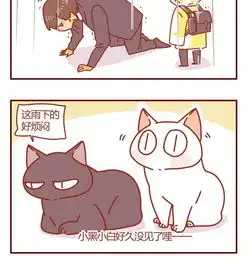猫咪甜品屋54爱奇艺漫画