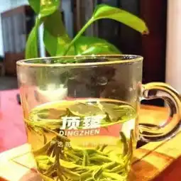 2018西湖龙井绿茶顶臻dz4800明前西湖核心产区120g