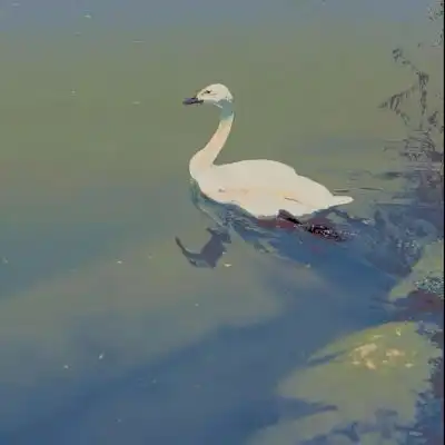 千变万化的是人心,纹丝不变的事唯美图片我要个性网