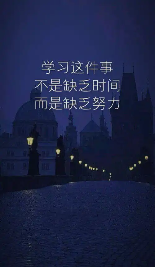 励志语录不开始,永远都不会有,趁该拼搏的年纪努力试试