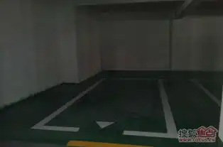 10号楼地下车库最新照片,有买了车位的吗