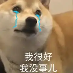长春市养犬那些事儿,权威解读来了
