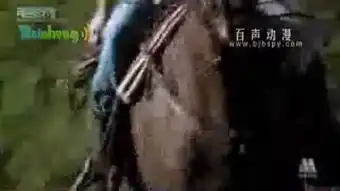 译制片