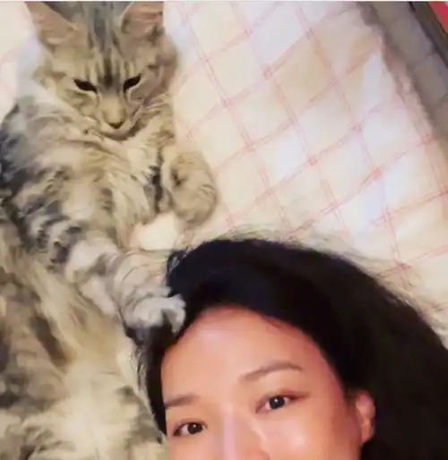 45岁舒淇逗猫咪遭嫌弃,素颜出镜苹果肌饱满,头发浓密气质像少女