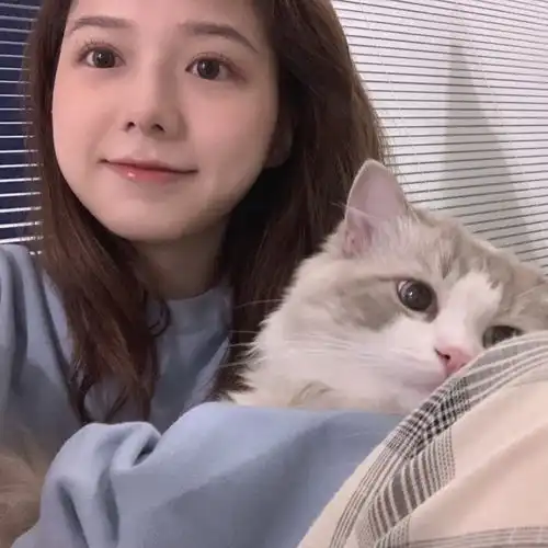 那些温柔的抱猫女生头像,预祝你我有数不尽的鲜花和浪漫