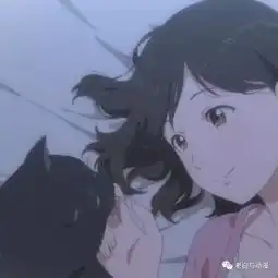 日常泡面她与她的猫一人一猫的孤单生活
