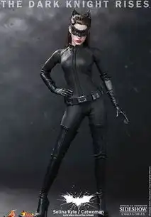 蝙蝠侠黑暗骑士崛起性感猫女手办高清画面欣赏