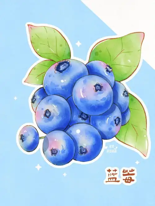 蓝莓水果插画1插画师晴柔来自小红书网页版手绘水果蔬菜