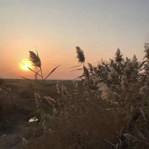 微信背景图绝美意境治愈系