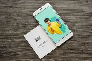 oppor9tfboys定制版图赏卡通专属手机壳