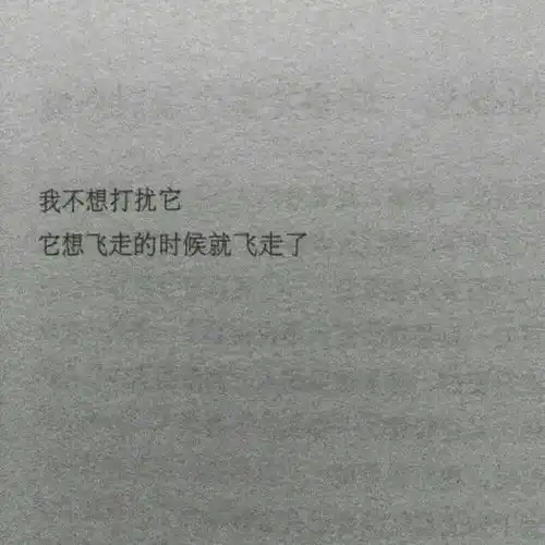 治愈系朋友圈背景图
