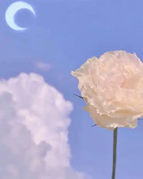 背景图不如两清做回甲乙丙丁