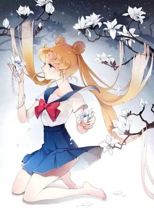 美少女战士萌系壁纸