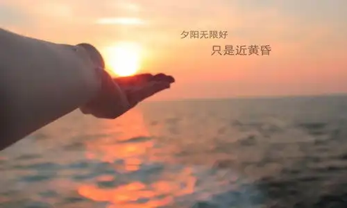 汪星辰12.12黄金持续高位震荡,日内行情解析及操作策略