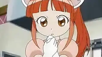 双子星公主第1部