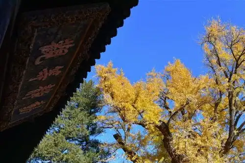 旅游滚动中国日报网
